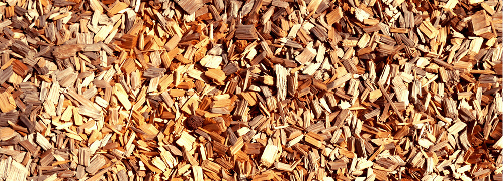 ゼロエミッション体制の構築